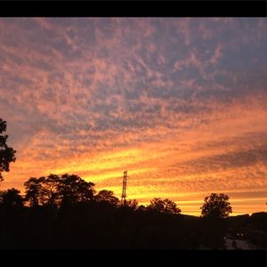 Meet your Posher, Caitlin